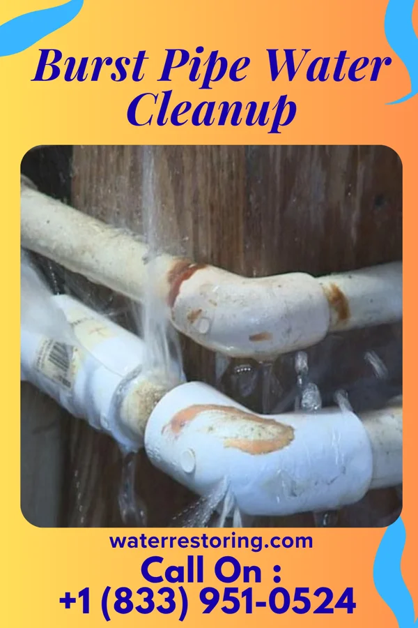 Burst Pipe Water Cleanup in Hudson, WY